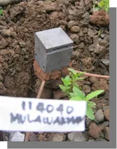 Pengecoran Pondasi Tapak Monopole